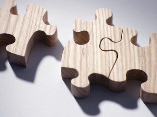 Wooden jigsaw pieces