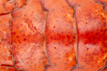 lobster shell