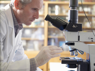 Laboratory scientist viewing slide with upright compound microscope