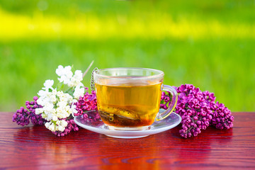 healing tea from a lilac flower in the garden