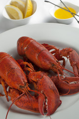 lobsters platter