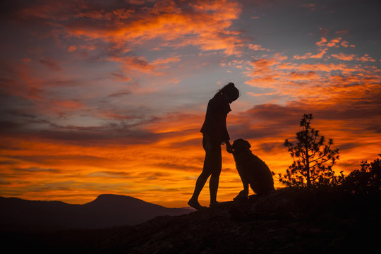 Silhouette of young woman and dog with dramatic orange sky, High Sierra National Park, California, USA