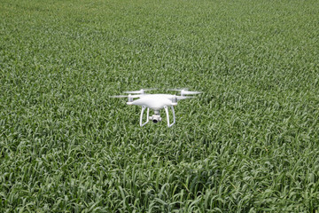 Flying white quadrocopters over a field of wheat
