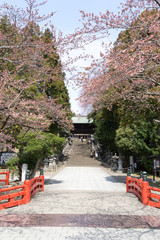 仙台東照宮　参道
