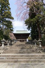 仙台東照宮　参道