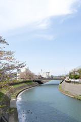 いたち川　太平橋より