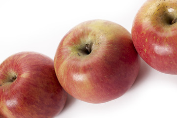 line of fruit