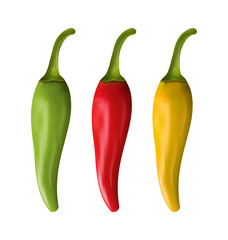 Set of Colorful Chili Peppers Isolated on White Background