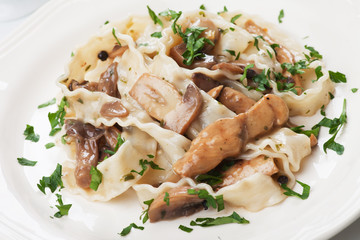 Italian pasta with mushrooms and chicken