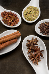 Five Spice Spoon Circle Star Anise
