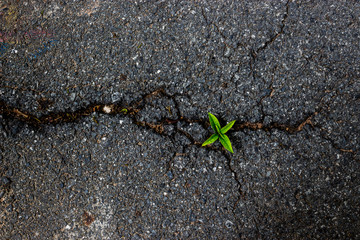 The power of nature.