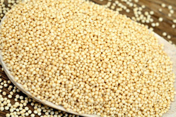 Amaranth seeds in a wooden spoon