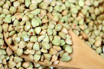 Green buckwheat in a spoon
