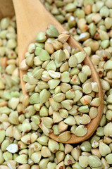 Healthy green buckwheat in a spoon