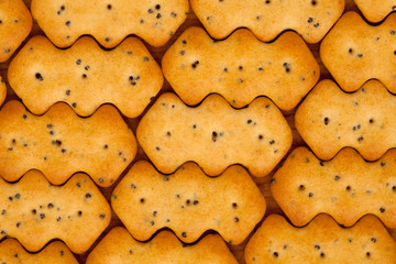 Top view dry cracker crackers with poppy seeds isolated on white
