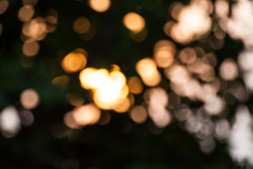 Obraz premium Blur natural bokeh background.