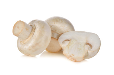 Champignon mushroom on white background