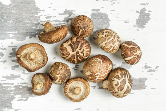 Overhead view of mushrooms on wooden board