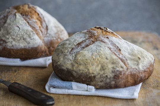 Freshly baked panella bread