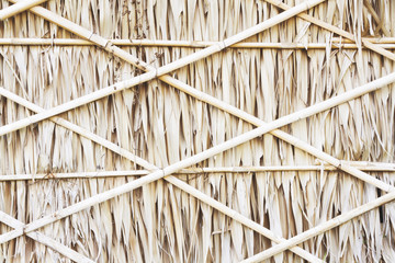 wall texture with sugar palm leaf