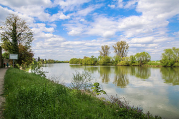 Neckarauen