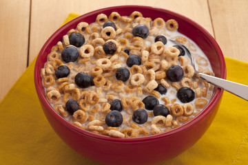 red bowl with cereal and blueberries with milk