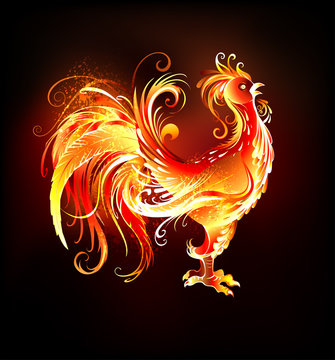 Fire Rooster