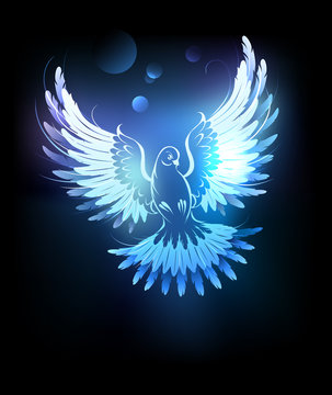 Glowing Blue Dove