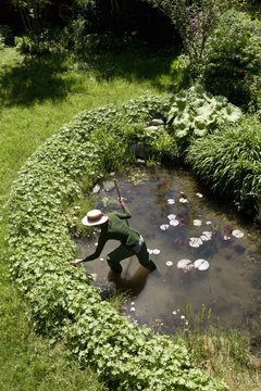High angle view of mature woman in garden cleaning out pond