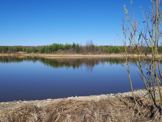 forest lake in early spring, morning