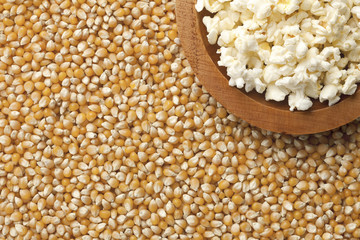 popcorn with a yellow grain
