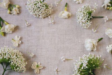 White flowers copy space background, selective focus, toning