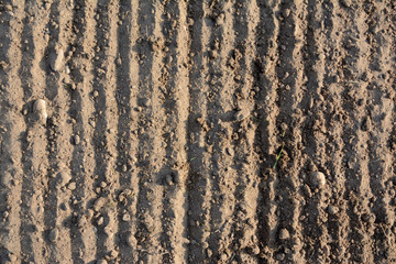Loosened soil texture