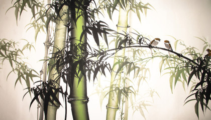 Fototapety  ręcznie rysowane bambusowe malowanie tuszem