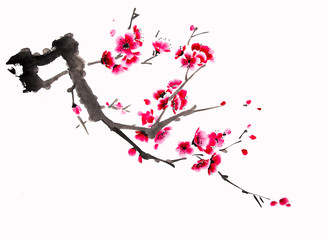 Chinese watercolor cherry painting - 109571209