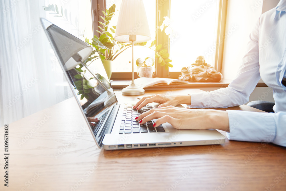 Poster cropped side view of female hands keyboarding on laptop. young freelancer searching for new a job us
