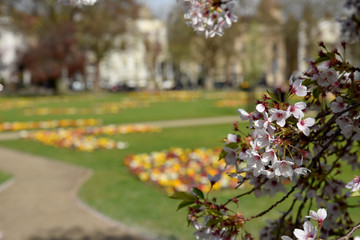 Obraz premium Cheltenham Imperial Square and Gardens