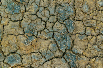 Mudcracks and soil drought
