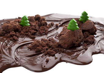 chocolate powder with toy trees on the top of melted chocolate