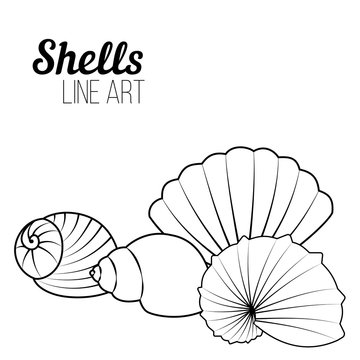 Shells, modern line art. Set of shells. Pattern for coloring book. Vector.
