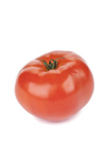 fresh tomato