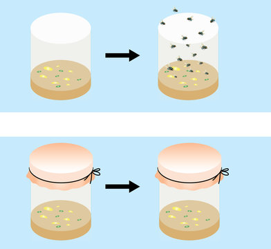 Abiyogenez G&ouml;r&uuml;ş&uuml;