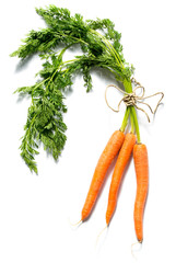 Fresh carrots with leaves isolated on white background