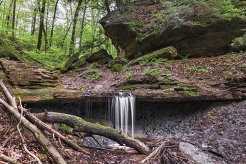 Obraz premium Maidenhair Falls, a waterfall in Indiana's Shade State Park plunges over a rock ledge in a mossy ravine.