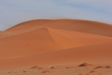 Fototapeta na wymiar Sanddünen im Sossusvle (Namib-Naukluft-Nationalpark)