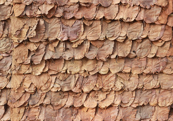 roof made of dried leaves
