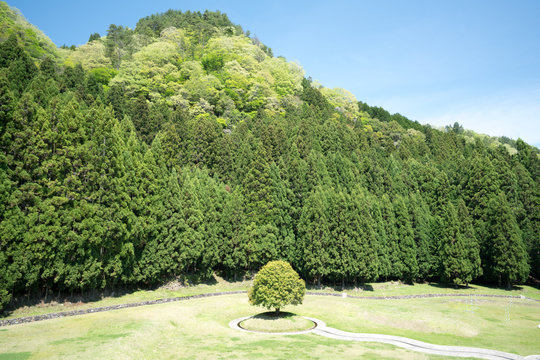 Murou art forest park