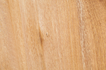 Naklejka premium Texture of wood background / wood texture