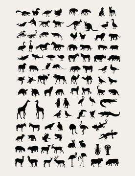 Animal  Silhouette Collection, art vector design