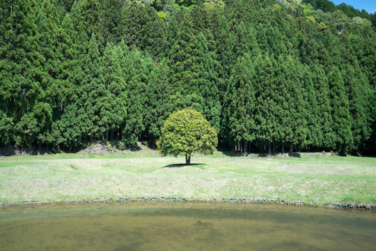 Murou art forest park